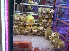 -汤姆熊欢乐世界(罗斯福店)
