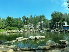 -北京野生动物园