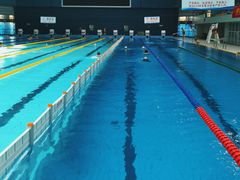 -重庆市奥林匹克体育中心-游泳跳水馆