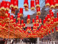 -潭柘寺景区
