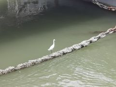 -厦门海底世界