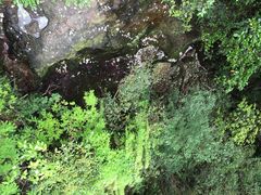 -雁荡山三折瀑景区