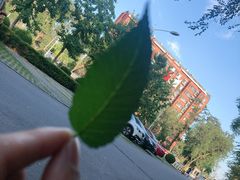 -北京德尔康尼骨科医院