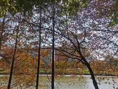 -怡海公园(桂城街道)