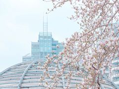 -西湖文化广场