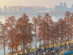 -东湖落雁景区