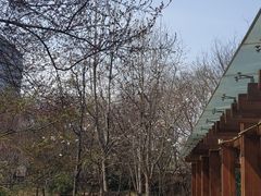-木塔寺遗址生态公园