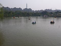 -南汇桃花村