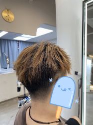 -蚂蚁造型沙龙
