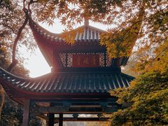 -岳麓山风景名胜区