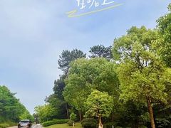 -金水泊山庄·花椒鸡(铁山坪店)