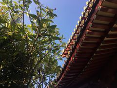 -新加坡佛牙寺龙华院