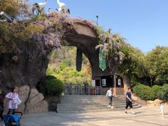 -石老人观光园