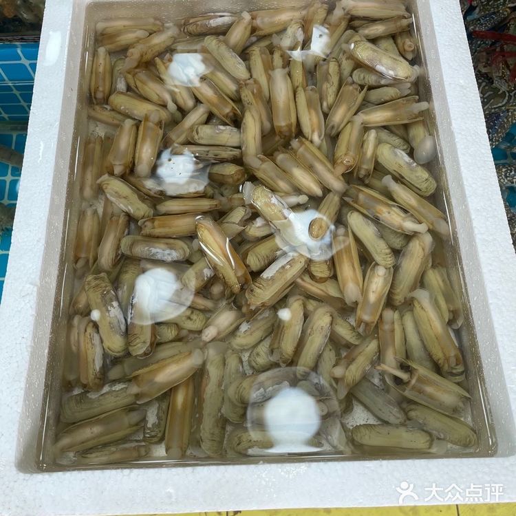 翻着翻着看到之前去惠州吃的一家海鲜