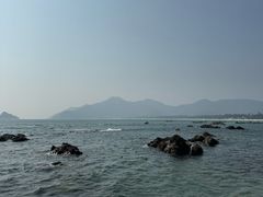 -西涌国际滨海旅游区