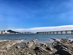 -星海湾跨海大桥
