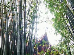 -望江楼公园
