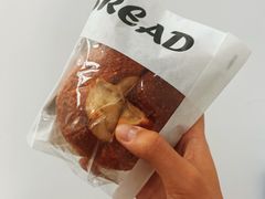 -面包日报