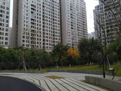 -沐仙湖湿地公园