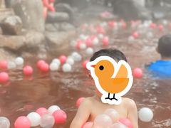 -张家港金凤凰度假村温泉