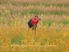 -白鹭湾湿地公园