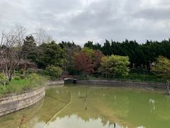 -嘉定紫藤园