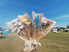 -春花秋色城市公园