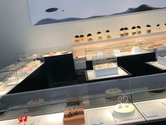 -BLACKSWAN黑天鹅(环球店)