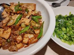 -佬肥猫(七宝宝龙店)