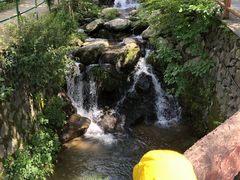 -藏龙百瀑风景区