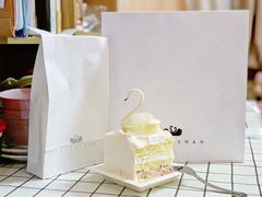-BLACKSWAN黑天鹅(环球店)