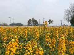 -中国天府农业博览园