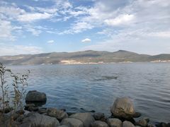 -才村湿地公园