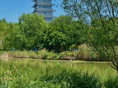 -Supine Bistro溯泮餐厅