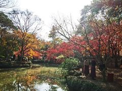 -秋霞圃