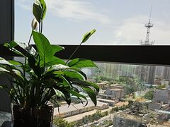 -唐猫庭院·千年陕菜(赛格国际购物中心店)