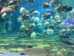 -梦幻海洋王国(吾悦广场张家港店)