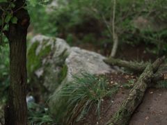 -抱龙峪