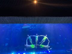 -华夏文旅海洋公园