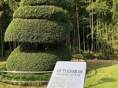 -苏州河梦清园环保主题公园