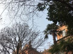 -上海佘山国家森林公园西佘山园