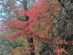 -九鼎铁刹山风景区