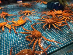 -驻海渔市(置信店)