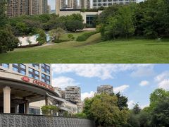 -成都保利公园皇冠假日酒店(熊猫基地店)