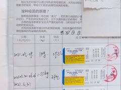 -伟伟宠物医院·CT影像中心·瑞派犬猫综合性门诊(汉口总院)