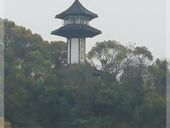 -上海佘山国家森林公园天马山园