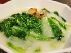 水东嫩菜苗-金戈戈香港豉油鸡(南山海岸城店)