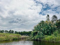 -同里国家湿地公园