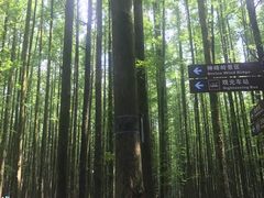 -山王坪喀斯特国家生态公园
