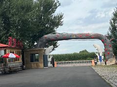 -白渔泡湿地公园